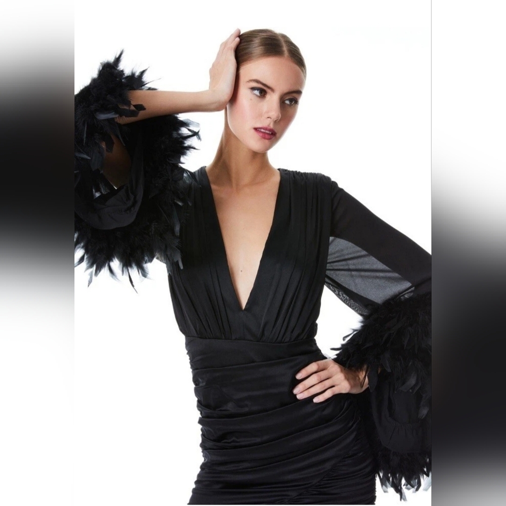 ALICE + OLIVIA JOETTE FEATHER TRIM SLEEVE MINI DRESS SIZE 2 NWT $895 - Picture 3 of 16